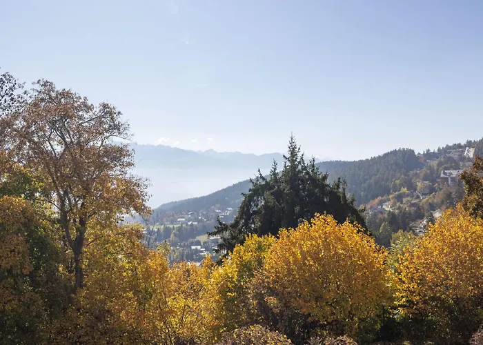 Armorial Ouest 51 By Interhome Crans-Montana